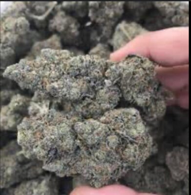 black gold weed
